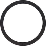 Pentair American Pattern Vinyl Light Niche Gasket SET-8 Hole 79200300. Fixed Price $76.95.