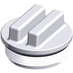 Hayward Wall Fitting Concrete 50PK 15IN Skt X 2IN Mpt SP1022S50BLK. Fixed Price $260.95.