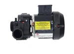 Balboa 6154106-S 1/15HP 230V Pump Circulation Replacement Mpn. Fixed Price $212.84.