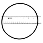 Jandy Zodiac W13061 Cap O-ring. Fixed Price $31.26.