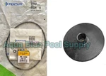 Pentair Letro LA01N Booster Pump Seal, Rings W/LA05L Impeller For Leak Repair. Fixed Price $78.00.