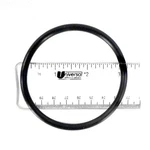 Pentair O-ring, Diffuser. Fixed Price $11.83.