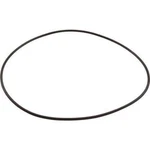 Replacement SPX4000T Hayward Northstar Pool Pump Seal Plate O-ring PTK-239. Fixed Price $11.99.