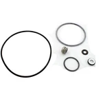 Seal Kit, Pentair Sta-rite Duraglas Ii : PP4200. Fixed Price $75.91.