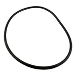 Waterway Plastics 805-0448B 1/2" O-ring #448 Pro Clean Filter 35 Shore. Fixed Price $22.44.