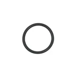 Hose O-ring Gasket Seal For Intex 10262 Above Ground Swimming Pool Filter Pump. Fixed Price $11.81.