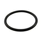 Hayward SPX1022CZ2 O-ring For Winter Plug. Fixed Price $12.18.