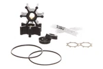 Replacementkits.com -pump Repair Compatible With Flotec/pentair, Shurflo 300. Fixed Price $27.77.