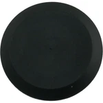 Raypak 005264F Rear Header Drain Plug. Fixed Price $48.25.
