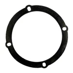 APCG3107 Backwash Valve Gasket. Fixed Price $14.77.