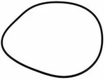 Pentair U9-373Z O-ring 1/2" Black Replacement For Sta-rite Pumps. Fixed Price $23.75.