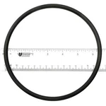 APCO2142 Pump Lid O-ring. Fixed Price $12.04.