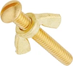 Pentair RAINBOW#155BRASS Nut/bolt R221156. Fixed Price $17.95.