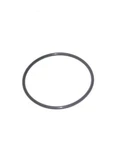 New O-ring For Pentair American Feedpipe O-24 Oe# DEX2400Z5. Fixed Price $8.97.