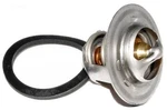 006719F Unitherm Governor Capron For Raypak 206A 266A 336A. Fixed Price $36.27.