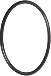 Pentair O-ring Small Fso. Fixed Price $18.95.