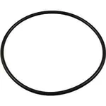 Pentair R172223Z #360 Abs Buna O-ring. Fixed Price $11.77.
