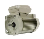 354817S Motor, Pentair Wf/wfxf, 3.0HP, 208-230V, 1-SPD, 56Y, Sqfl, Tefc. Fixed Price $749.00.