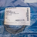 Pentair 350013 O-ring, Black, Buna 5.85X0.275 In, Includes Pack. Fixed Price $10.00.