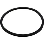 Square Ring, Praher TM-12-E/TM-22-E, Valve Body. Fixed Price $21.00.