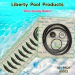 Hydropump From Liberty Pool Products Usa 65022 Fits Fab GO-KIT22 10-PACK. Fixed Price $221.93.