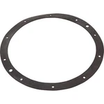 Aladdin Rubber Gasket 79200400 G110R Pentair / American Starite G-110R. Fixed Price $23.95.