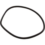 T-ring, Hayward Northstar SP4000/4000X, Trap Body, PRE-2008 : SPX4000TS. Fixed Price $54.62.