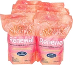 Bioguard Mineral Springs Renewal Maintenance Saltwater Pools 4 Lb Pack Of 6. Fixed Price $125.94.