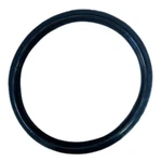 Pentair Whisperflo And Intelliflo Xf Pumps Union Gasket Kit 410016Z. Fixed Price $19.99.