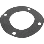 Gasket, Pentair C-series, Flange. Fixed Price $38.91.