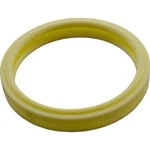 Lens Gasket, American/pentair, Aqualight, 4", Silicone, Cream. Fixed Price $45.40.