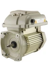 Pentair 353132S. Superflo Vs Pump Motor And Drive Assembly For 342001.. Fixed Price $1050.00.