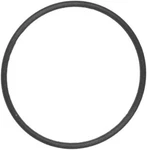 Hayward Pump Lid O-ring HCXP6014A. Fixed Price $34.95.