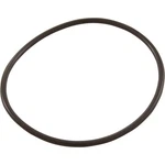 Hayward Glx-diy-oring O-ring For Salt & Swim Chlorination System. Fixed Price $50.78.
