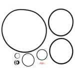 Aladdin APCK1046 Challenger Pool Pump Repair Go-kit 5. Fixed Price $21.99.