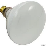 Swimming Pool Light Bulb 12V R40 Medium Base Threaded. Fixed Price $29.95.
