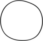 Hayward Housing O-ring For Powerflo Lx Series O299 SPX1580Z1. Fixed Price $24.95.