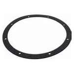 Aladdin Niche Gasket American G168 Pentair / Purex G-168. Fixed Price $21.95.