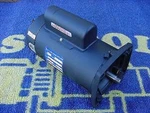 1 Hp Square Flange Pool Motor Year Warranty. Fixed Price $199.99.