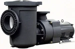 Pentair Water Pool And Spa 340238 10 Hp Pump, 230-VOLT. Fixed Price $9218.50.