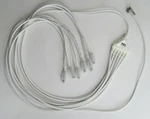 Rising Dragon Rdt 1MINI0-RD0Z6 6-LED Daisy Chain Spa/ Hot Tub Light Replacement. Fixed Price $34.00.