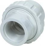 Hayward Flush Union 15IN Fpt SP14952. Fixed Price $28.22.