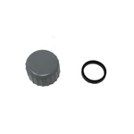 Bestway Drain Valve Cap & O-ring For P6580ASS16 Swimming Pool Sand Filter Pump. Fixed Price $24.89.