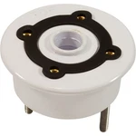Pentair 619549 3/4" Mounting Hub Assembly Aqualumin Pool Spa Light. Fixed Price $75.39.