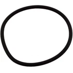 Waterway O-ring Multi-port Valve 805-0435 Clearwater Sand Filter Collar. Fixed Price $8.79.