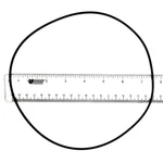 Little Giant 928004 Seal Ring For Manual And Automatic Pump. Fixed Price $17.15.
