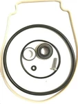 Pentair Whisperflo-intelliflo, Go KIT-32 Repair-rebuild O-ring. Fixed Price $19.99.