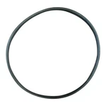 Hayward (HCXP6025A) Strainer Body Replacement O-ring O-258. Fixed Price $7.95.