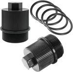 Tongass (2-PACK Drain Plug Cap Assembly Replaces 190030 Fits For Pool. Fixed Price $21.82.