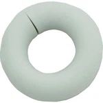 Jandy Zodiac B10 Wear Ring. Fixed Price $14.46.